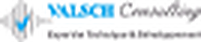 Valsch Consulting